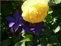 1b0a4c7d-Picture 2513.jpg